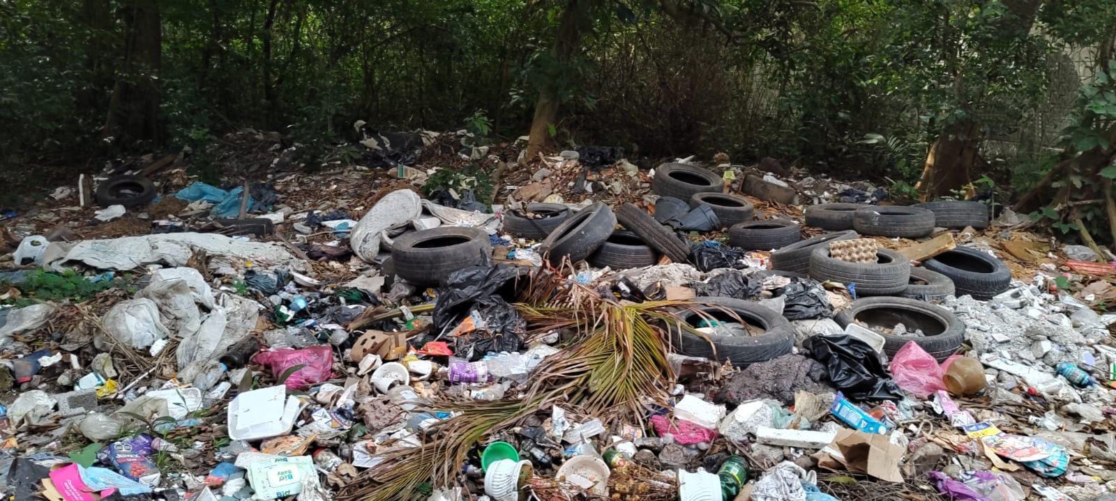 Reportan basurero clandestino en Playa de Vacas