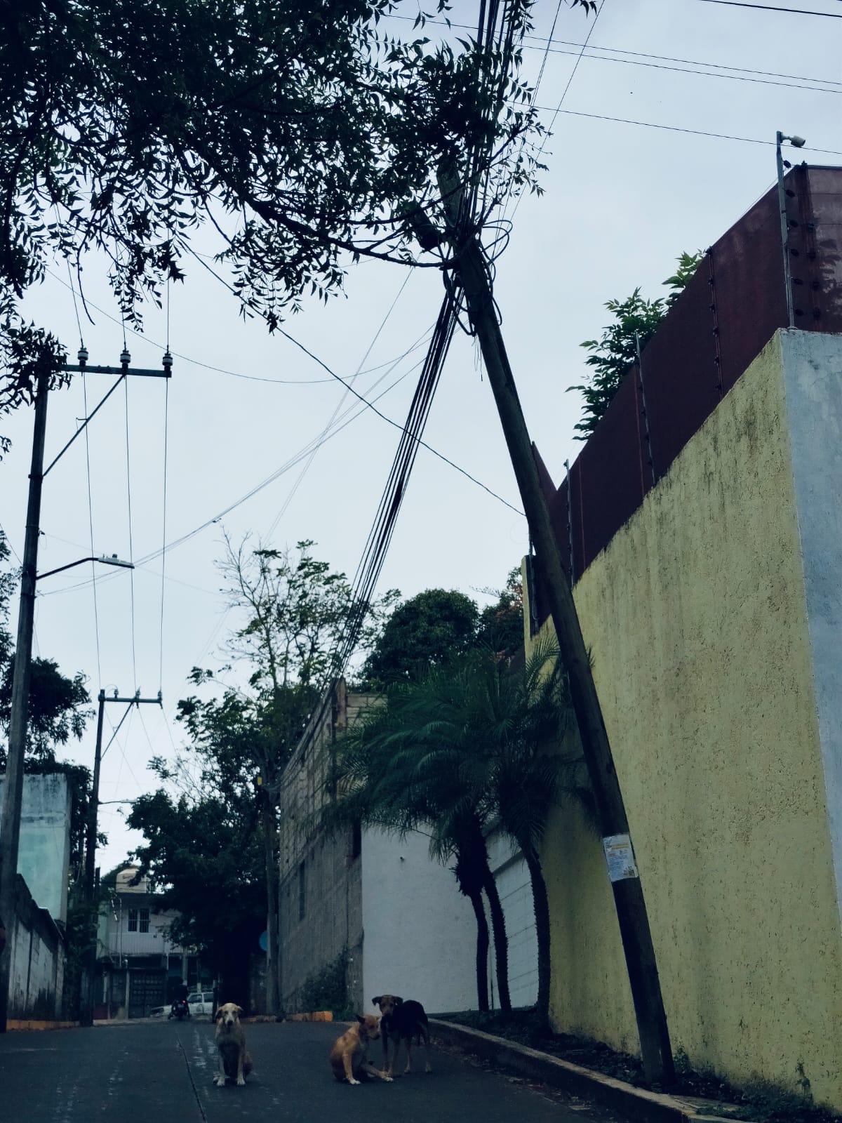 A punto de caer poste de Telmex