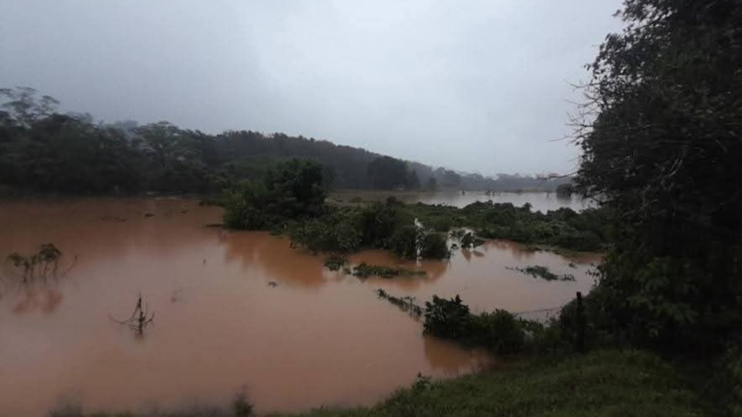 Desborde de río en Oaxaca afecta a 240 habitantes; Sedena inicia operativos de rescate