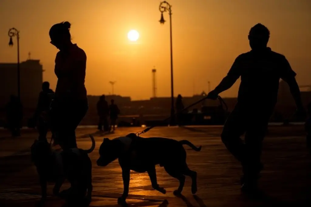 Primera ola de calor en México llega esta semana ¿Afectará Veracruz?