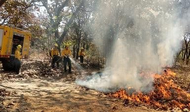 Más de 19 hectáreas afectadas por incendios en Veracruz; piden tomar precauciones