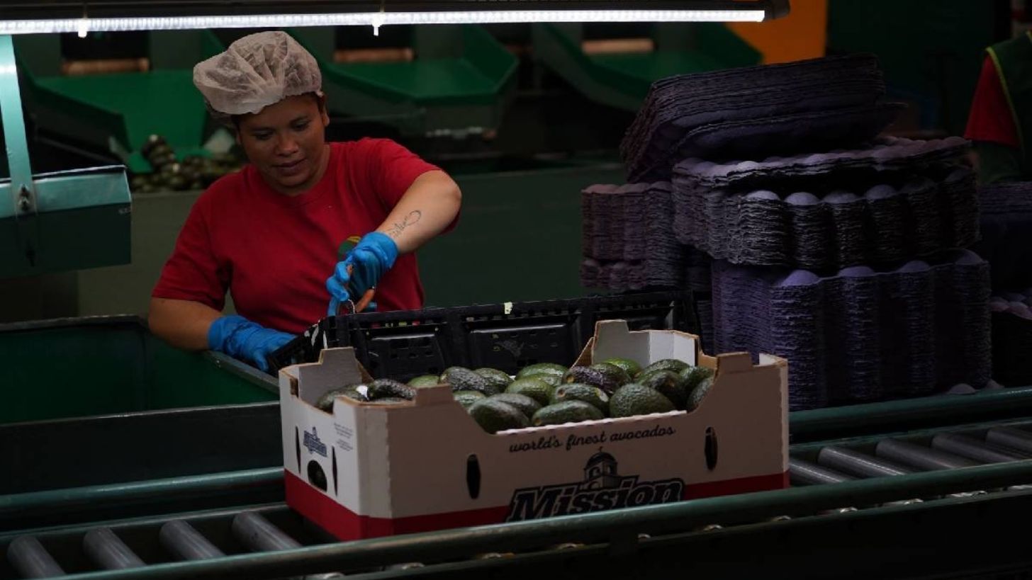 Crece el empleo en febrero 0.9 por ciento, “cifra histórica en el país”, revela IMSS