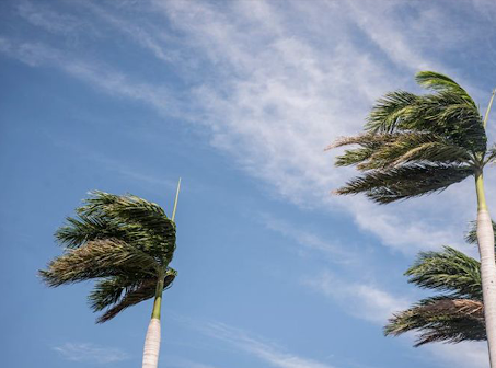 Aumenta temperatura, se espera surada para este viernes en el estado de Veracruz