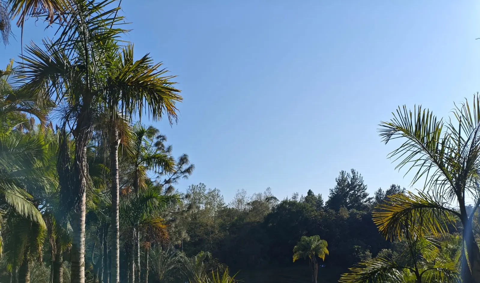 Surada en Veracruz: este martes se prevén temperaturas muy altas