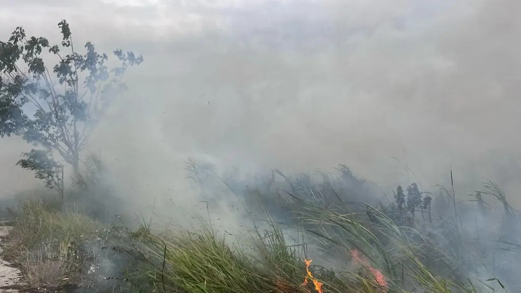 Poca visibilidad por incendio de pastizal en Miguel Alemán, por cabeza olmeca