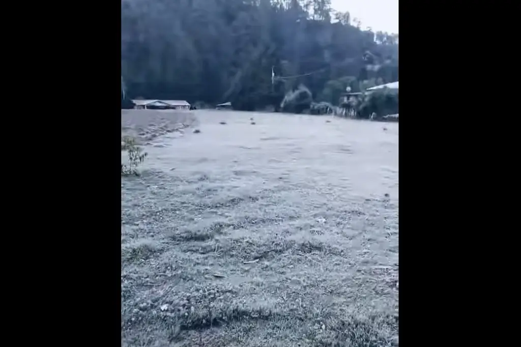 Reportan heladas en estas zonas de Veracruz