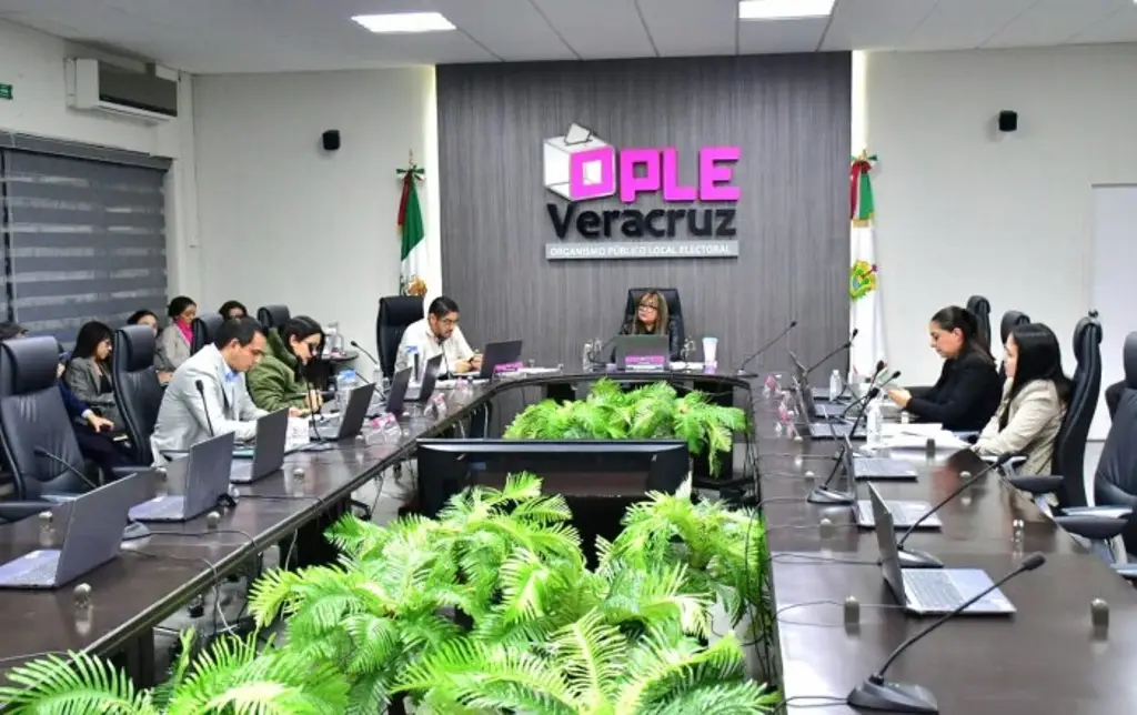 OPLE aprueba 12 mil 142 candidaturas a cargos municipales