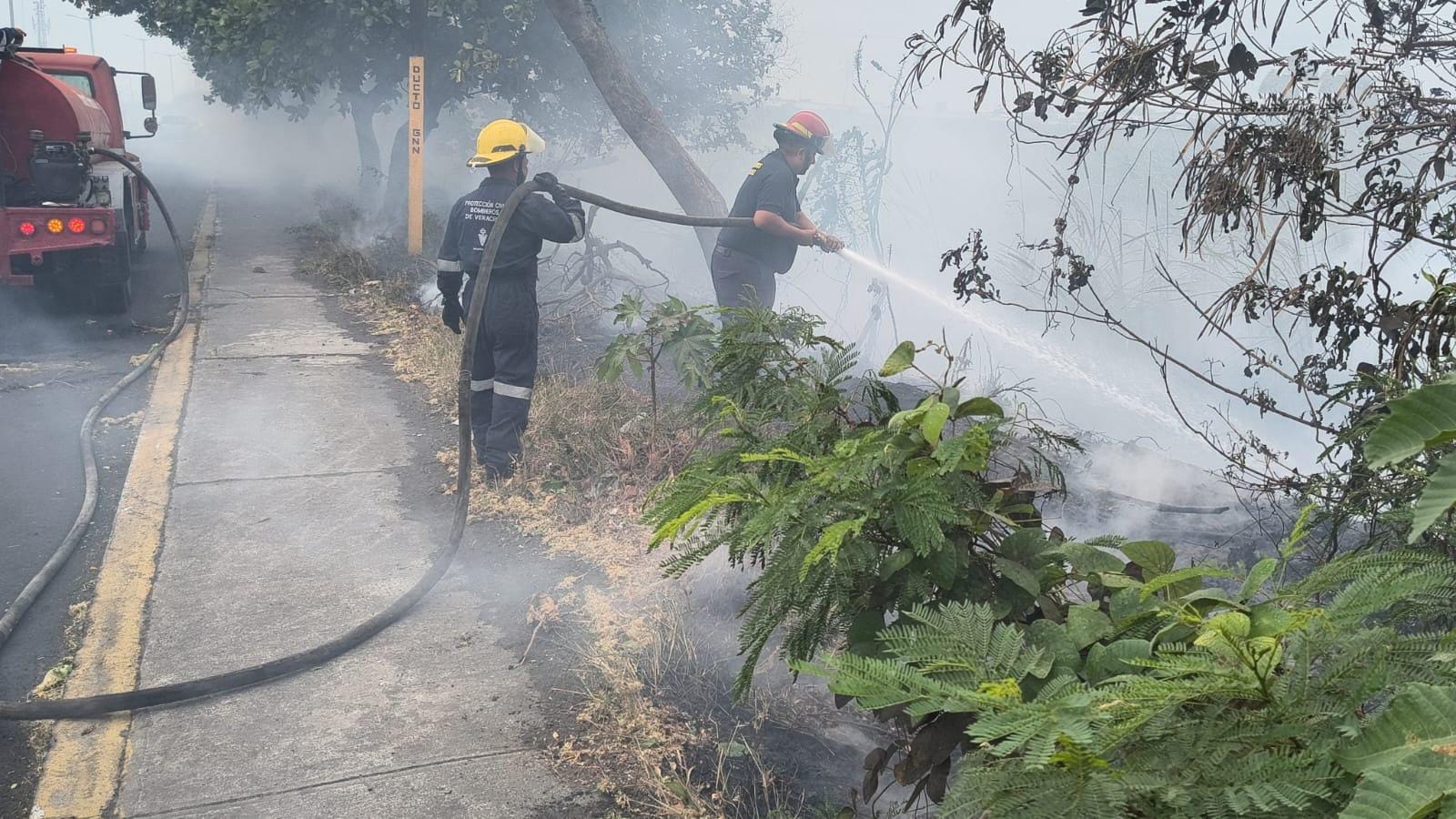 Controlan incendio de pastizal en zona de la laguna Real de Veracruz puerto