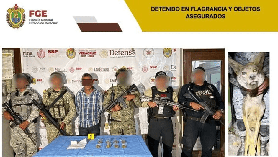 Detienen a 3 personas, aseguran armas, drogas y un zorro tras cateo en Yanga