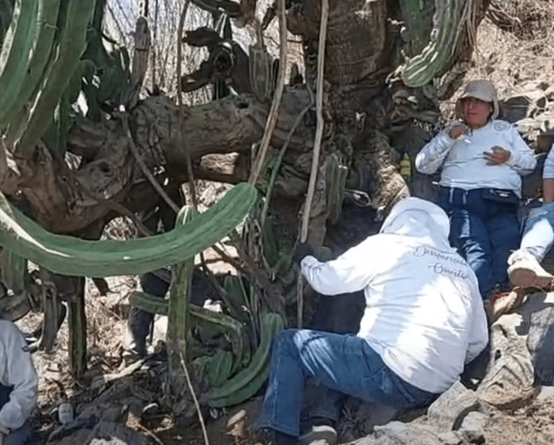 Madres buscadoras encuentran restos óseos en Querétaro