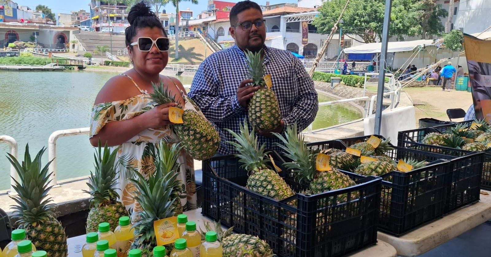 Piña de Isla se exporta a Estados Unidos