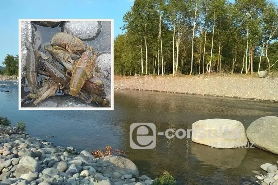 Denuncian ecocidio en río Misantla