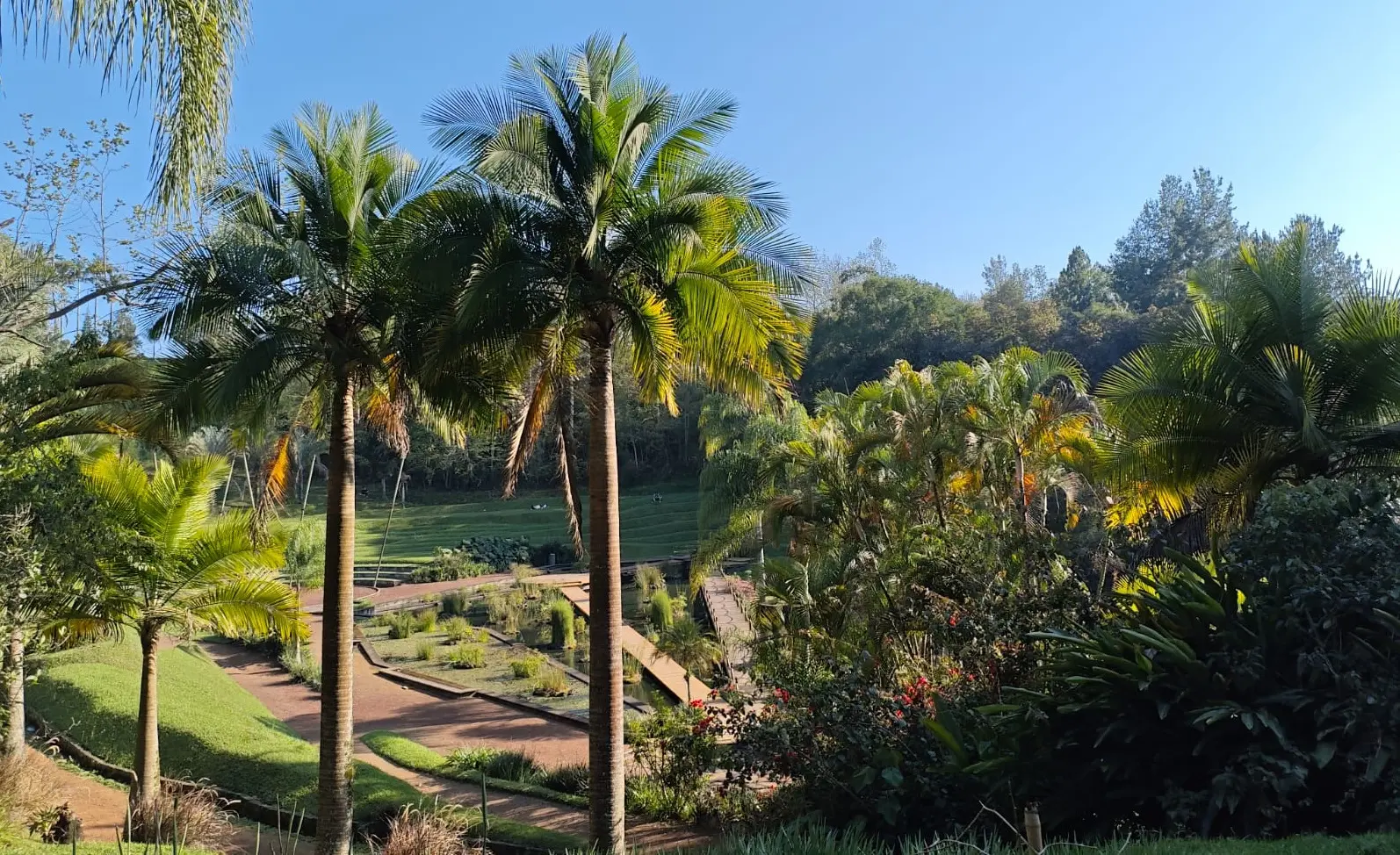 Clima en Veracruz: este lunes el ambiente será muy cálido