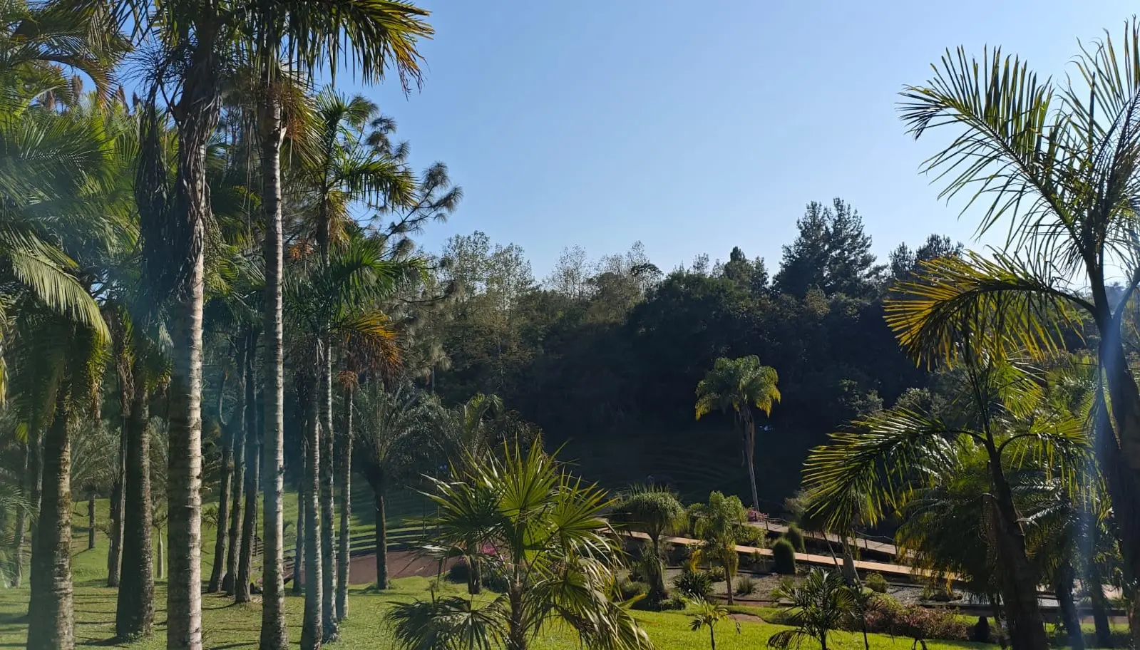 Surada en Veracruz: este jueves continuará un ambiente muy cálido