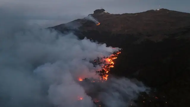 Incendio forestal ya devastó 400 hectáreas en el Cofre de Perote