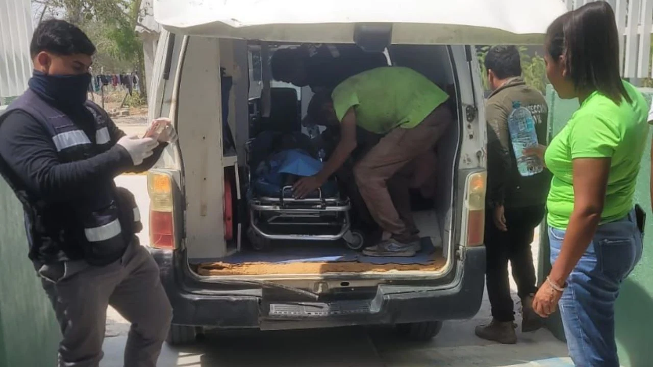 Niño de ocho años es atacado por un cocodrilo en Pinotepa Nacional, Oaxaca