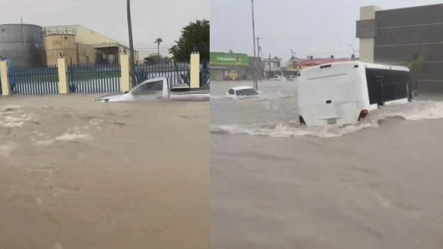 Repartirán 8 mil pesos a cada familia afectada por inundaciones en Tamaulipas, asegura Ariadna Montiel