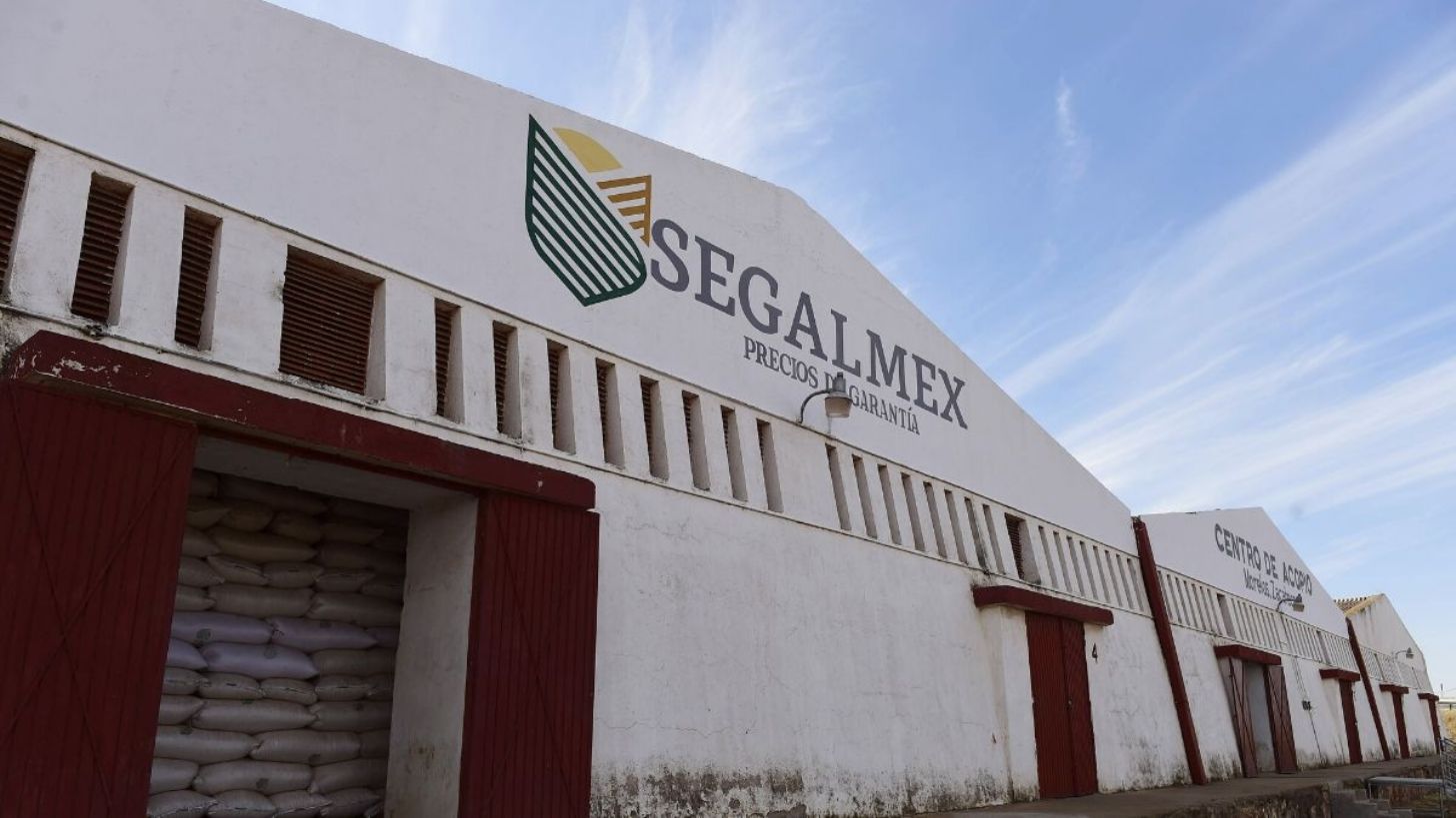 Nosotros decidimos cerrar Segalmex, que solo quedará Alimentación para el Bienestar y Leche para el Bienestar: Claudia Sheinbaum