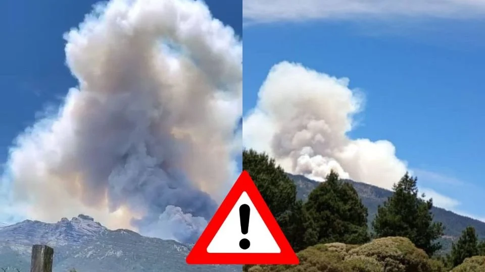 Fuerte incendio en faldas del Cofre de Perote hoy 17 de abril