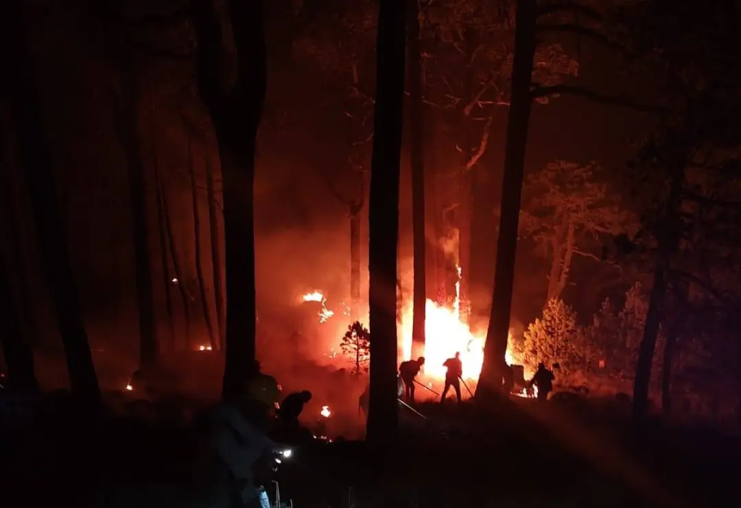 Incendios forestales devastan 500 hectáreas del Cofre de Perote