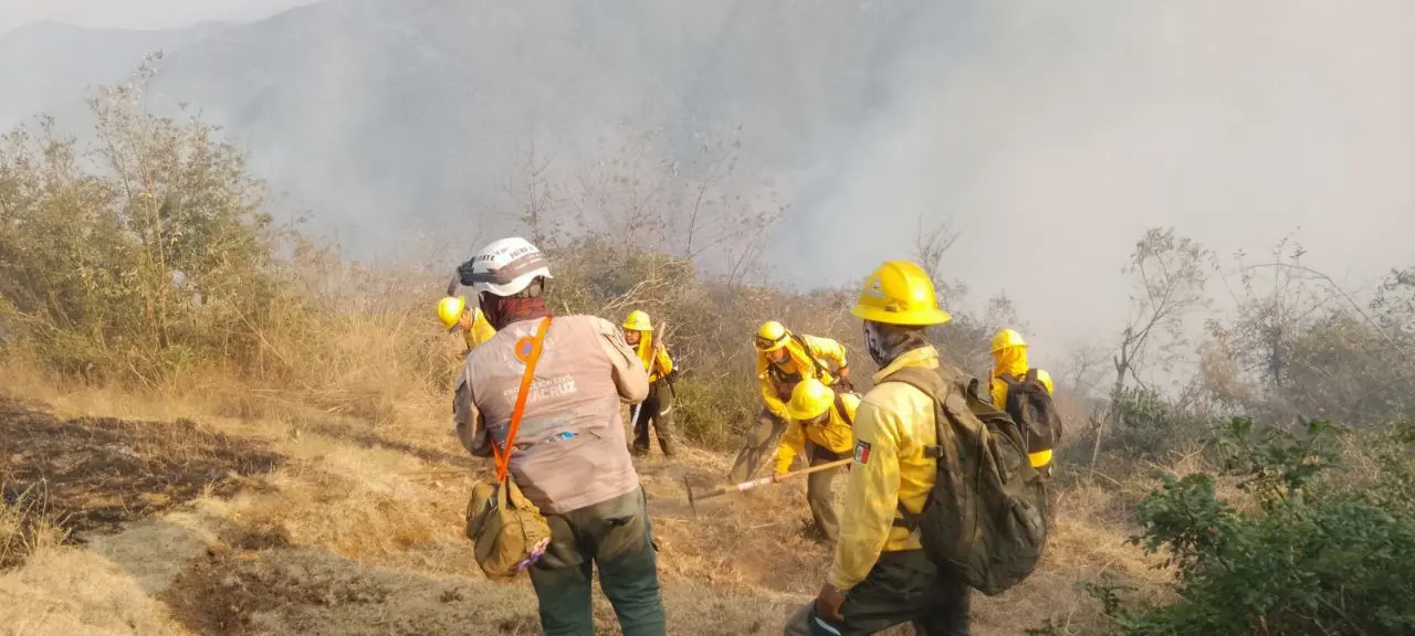 Semana Santa: Veracruz registra tres incendios forestales activos