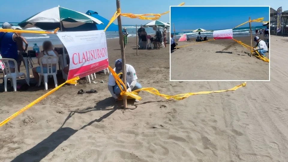 Profepa clausura área de Playa Chachalacas, Veracruz; esta es la razón