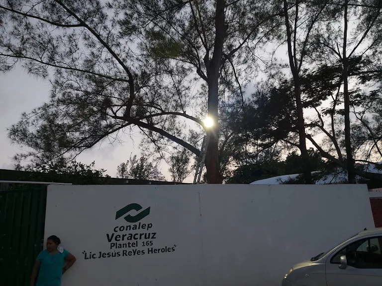 Hallan feto humano en baños del Conalep de Tuxpan