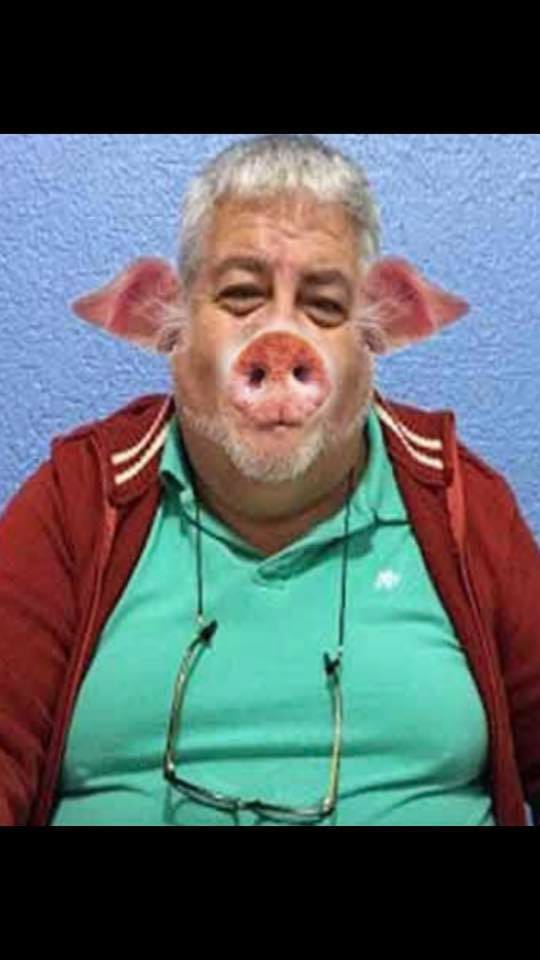 EL APESTADO QUE NO FUE AL CONSEJO ESTATAL DE MORENA