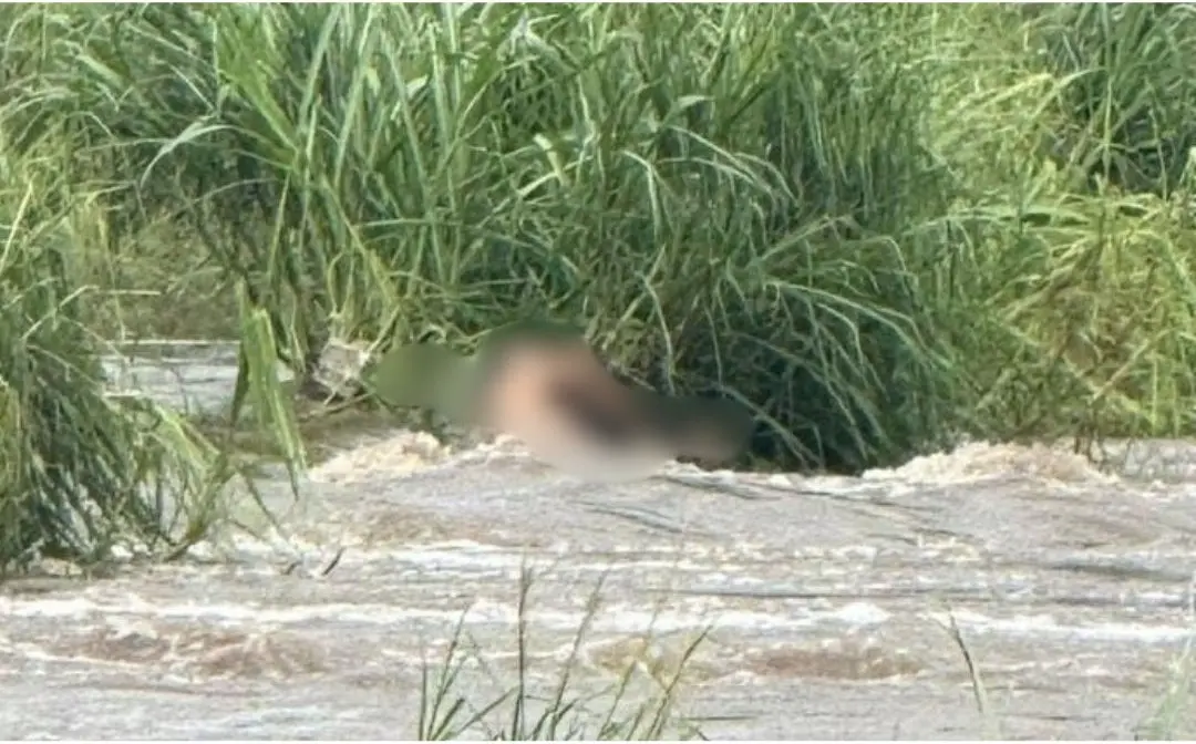 Hombre muere ahogado tras la crecida del río Actopan