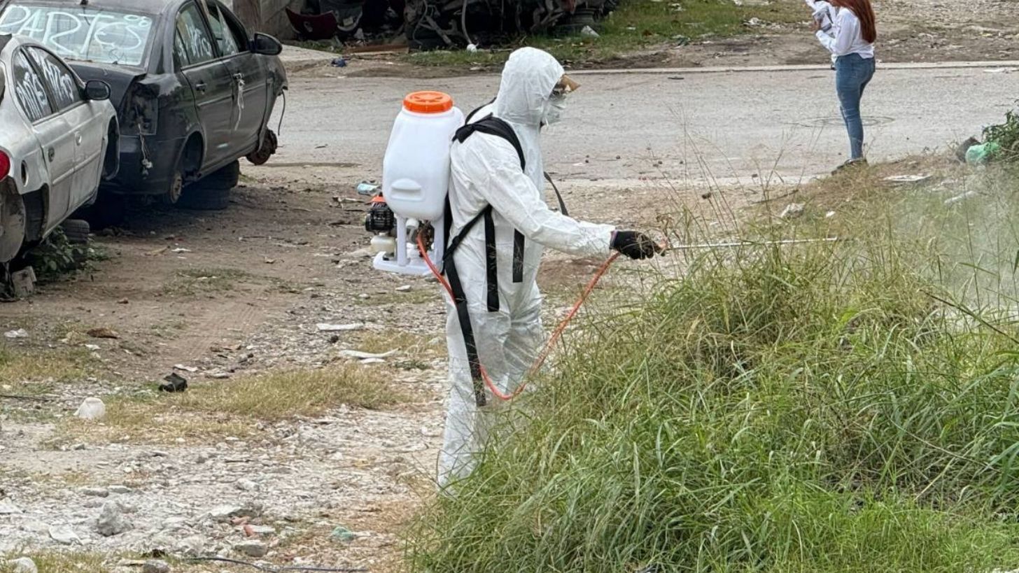 SSA prepara estrategia para los crecientes casos de dengue grave