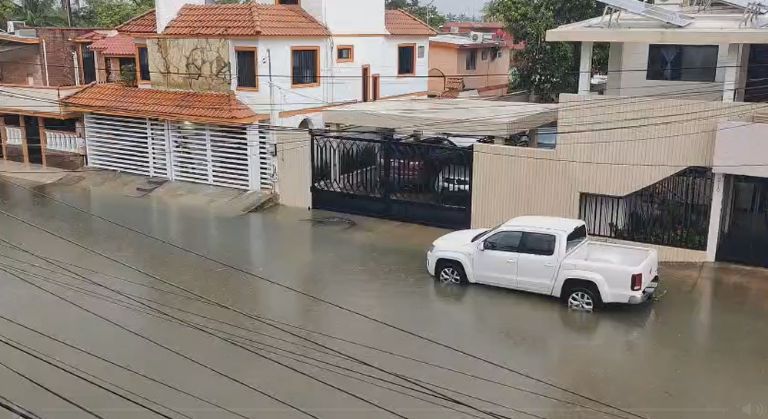 Cocodrilo de dos metros aparece en calles de Ciudad Madero, tras las lluvias