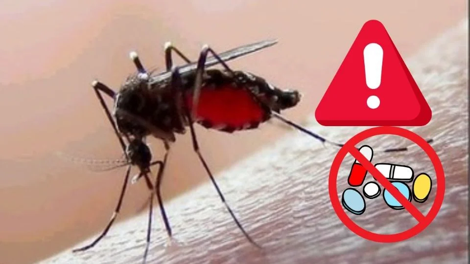 Veracruz repunta en dengue en el país: los medicamentos que Salud alerta no tomar