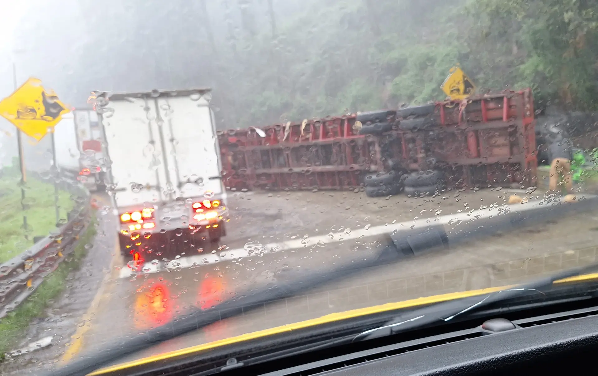 Rapiña en autopista de Mendoza: se llevan toneladas de pollo
