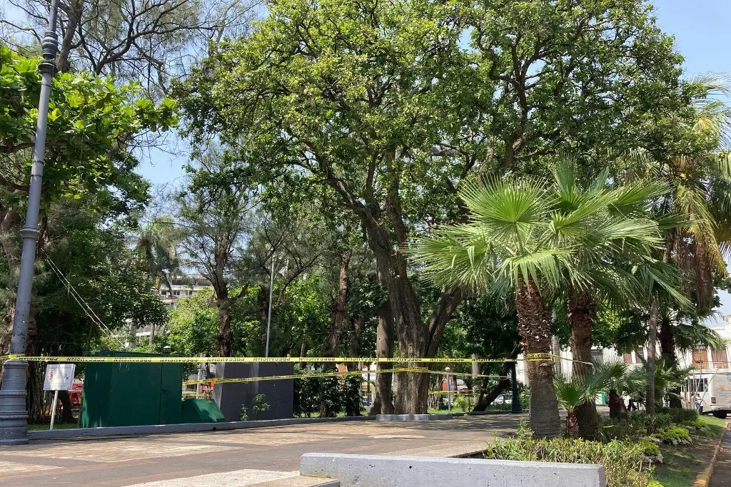 Abejas atacan en parque Zamora