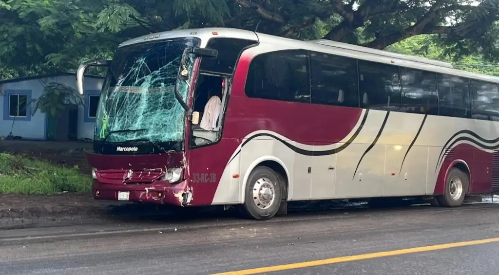 Autobús turístico impacta una camioneta y deja varios heridos en la carretera Paso del Toro-Alvarado