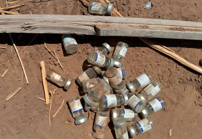 Profepa asegura 458 frascos de vacunas caducas antiinfluenza, en Ciudad Juárez