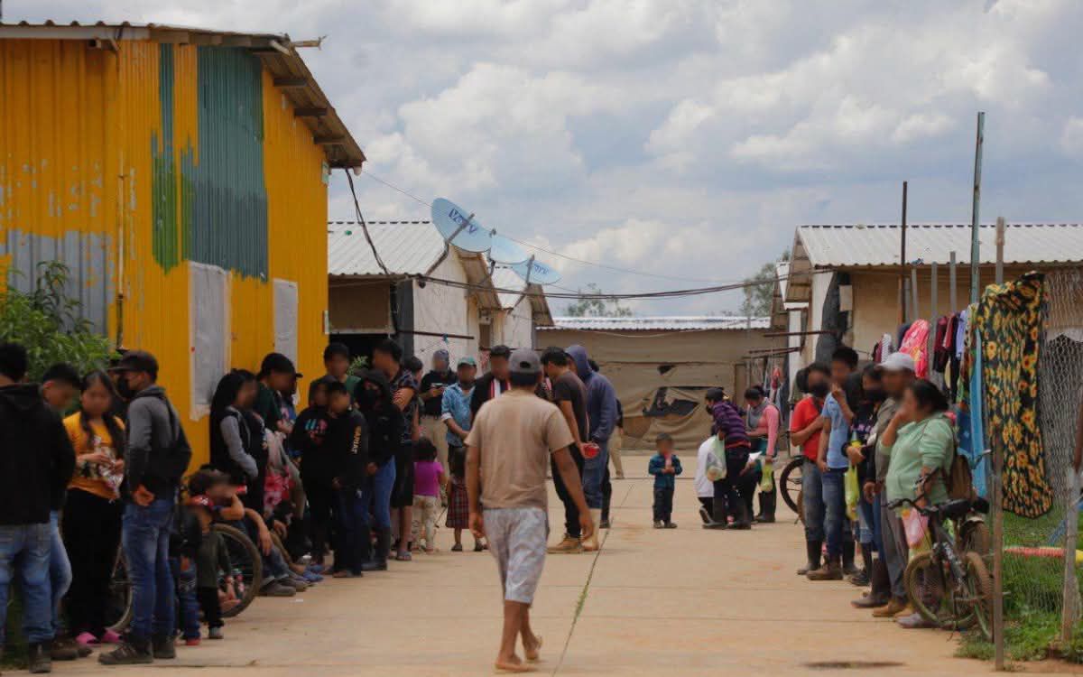 Rescatan a tres jornaleros veracruzanos tras operativo en Guanajuato; eran víctimas de trata