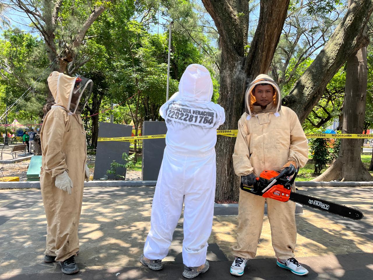 Tercer ataque de abejas en parque de Veracruz deja 4 lesionados
