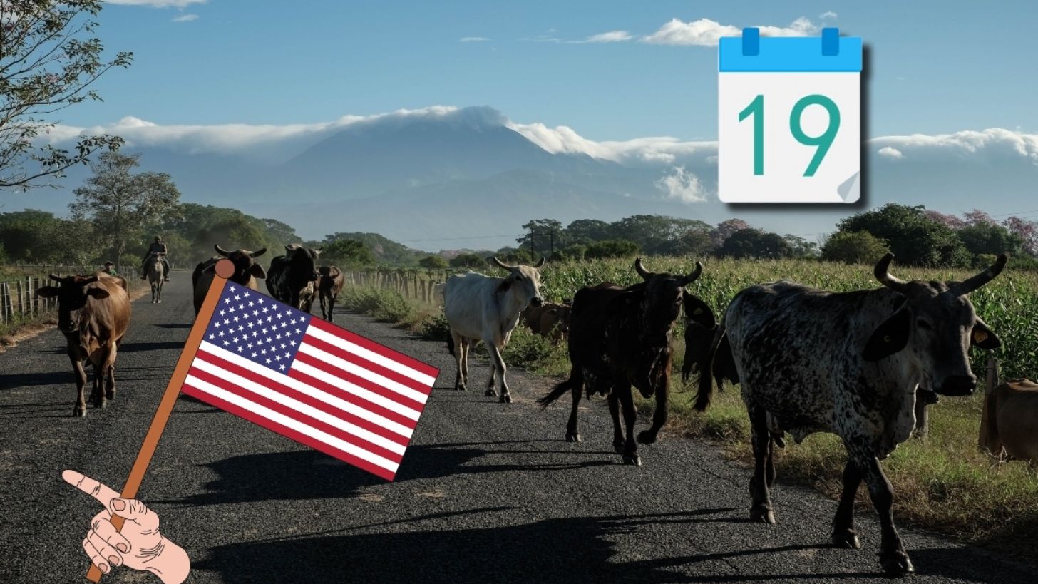 México y Estados Unidos definen FECHAS para reabrir la frontera al ganado, tras problemática de gusano barrenador