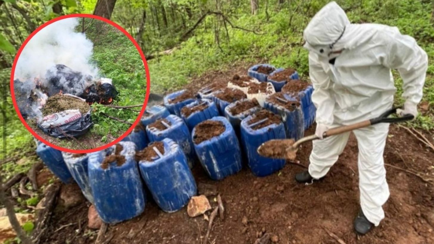 Desmantelan laboratorios clandestinos y aseguran 70 kilos de marihuana en Cosalá y Culiacán