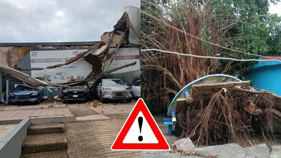 Carros bajo escombros y árboles caídos; las afectaciones en Coatzacoalcos tras fuertes lluvias