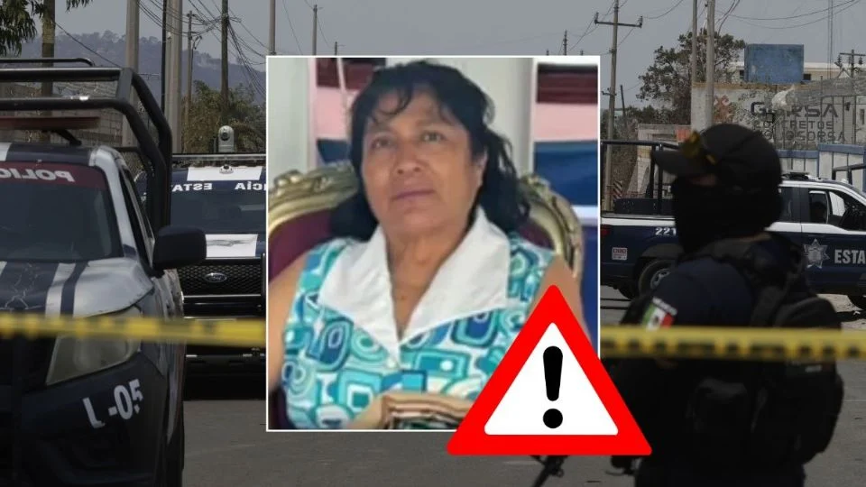 Por crimen de maestra jubilada Irma Hernández, detienen a 2 presuntos integrantes del Grupo Sombra