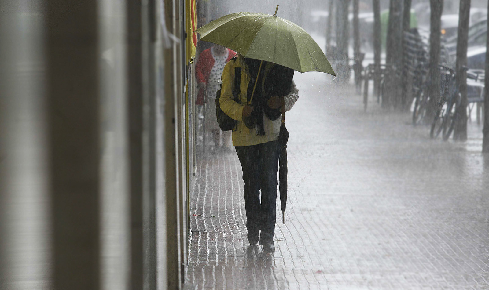 Clima en Veracruz: viernes 11 de julio con calor y lluvias