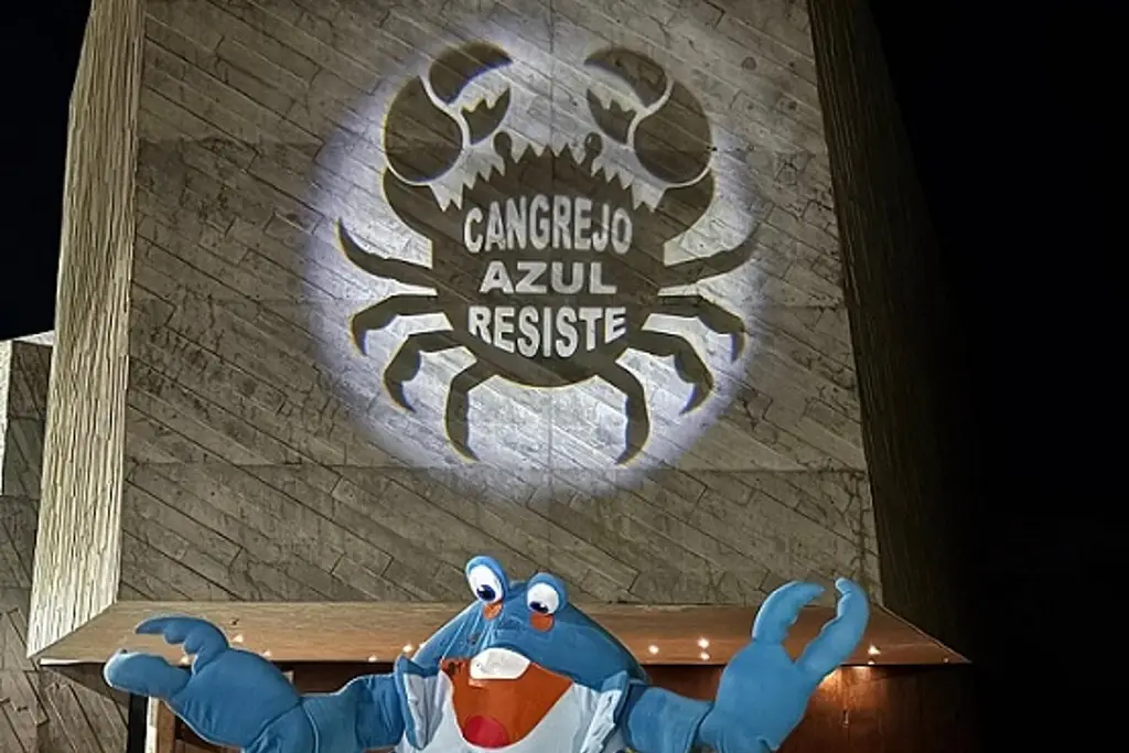 “Cangrejo azul resiste”, buscan evitar su extinción en la Riviera Veracruzana