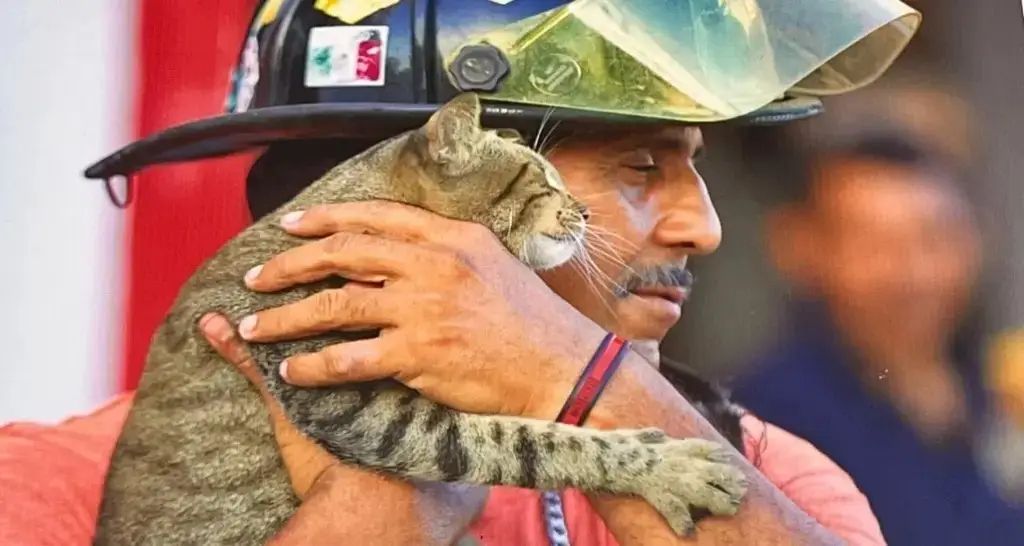 Hoy es el Día del Bombero