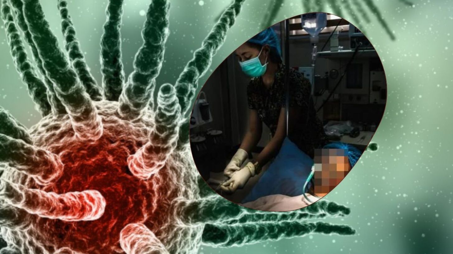 Hongo infecta el cerebro de una persona y activa alerta por su resistencia a medicamentos