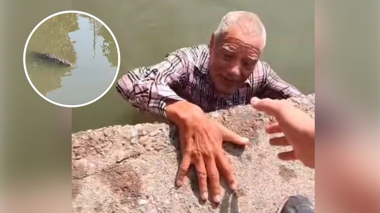 Rescatan a abuelito de 87 años de ser devorado por un cocodrilo en Tampico