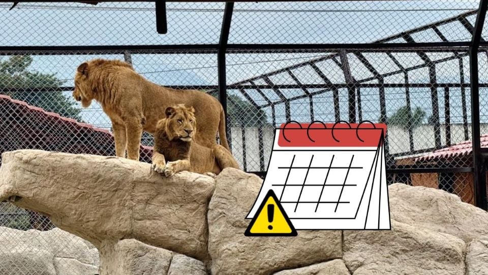 Marcha en Orizaba en defensa de los animales del Paseo del Río