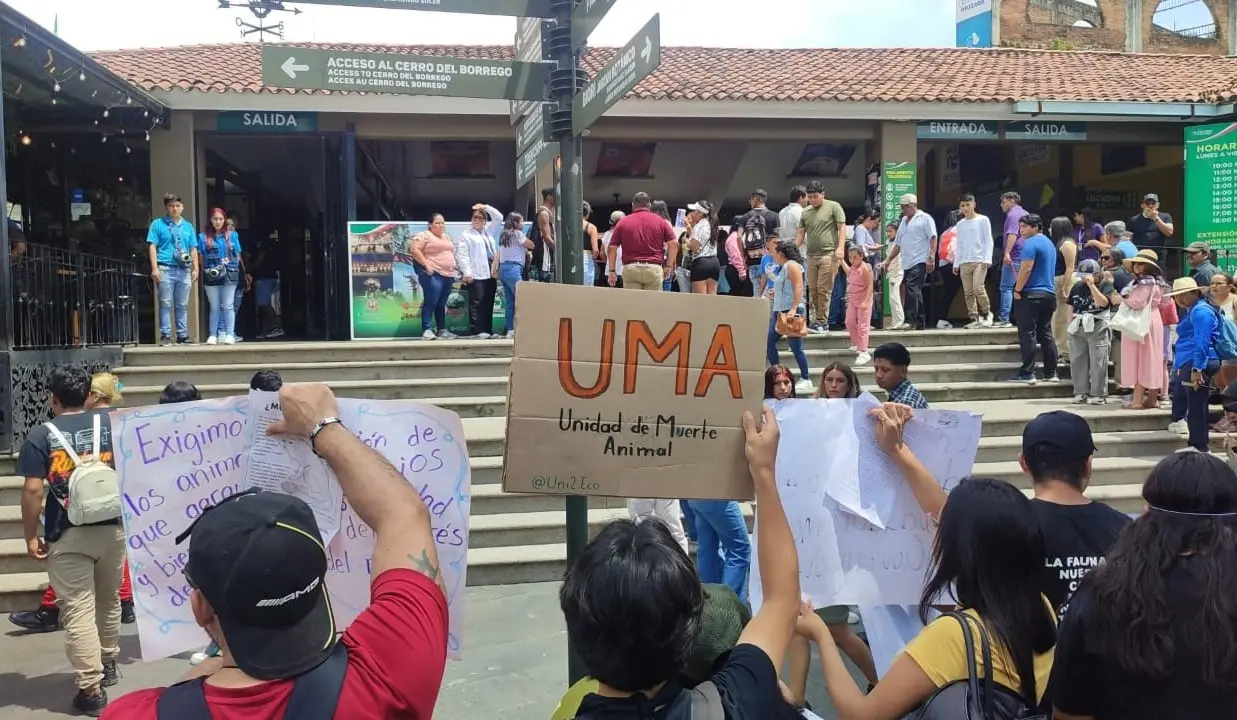 Protestan en Orizaba por muertes de animales en Paseo del Río