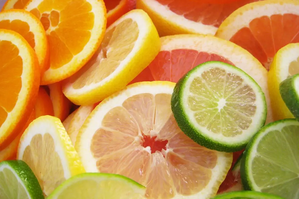 Se desploma producción de cítricos en Veracruz por plaga de ‘cáncer de cítricos’: Sedarpa